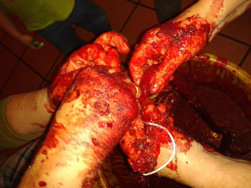 Angoiko Etxea * Bacaicoa